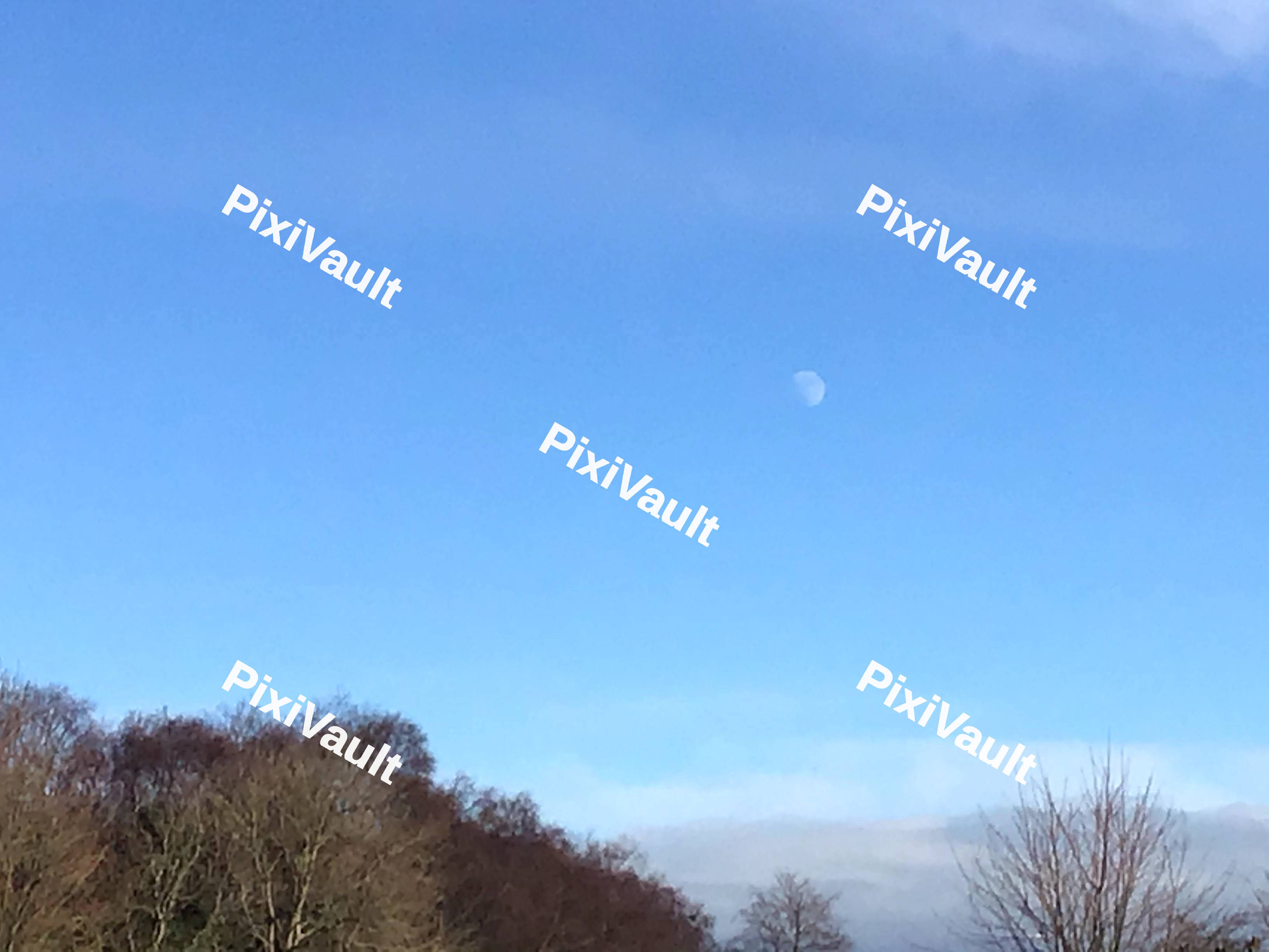 Moon During Daytime
